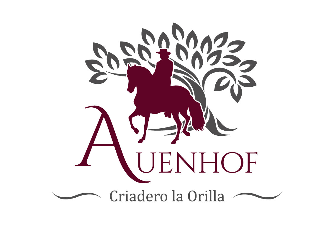 Paso Finos vom Auenhof Logo